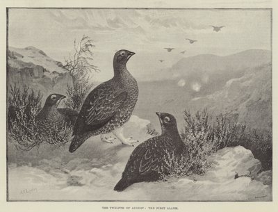 De Twaalfde Augustus, het Eerste Alarm door Alexander Francis Lydon